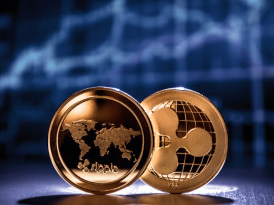 مدير مالي ريبل