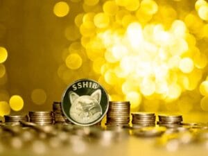 عملتي شيبا إينو وفلوكي