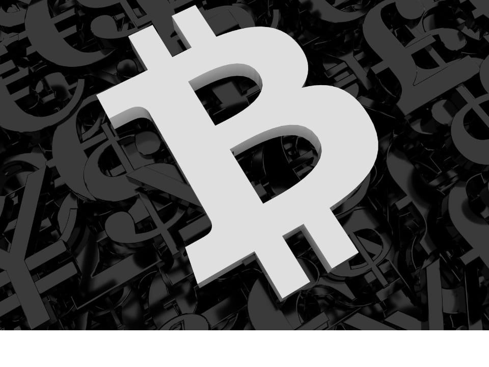 شراء حيتان البيتكوين