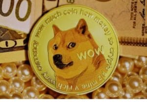 هل عملة DOGE حلال أم حرام ؟