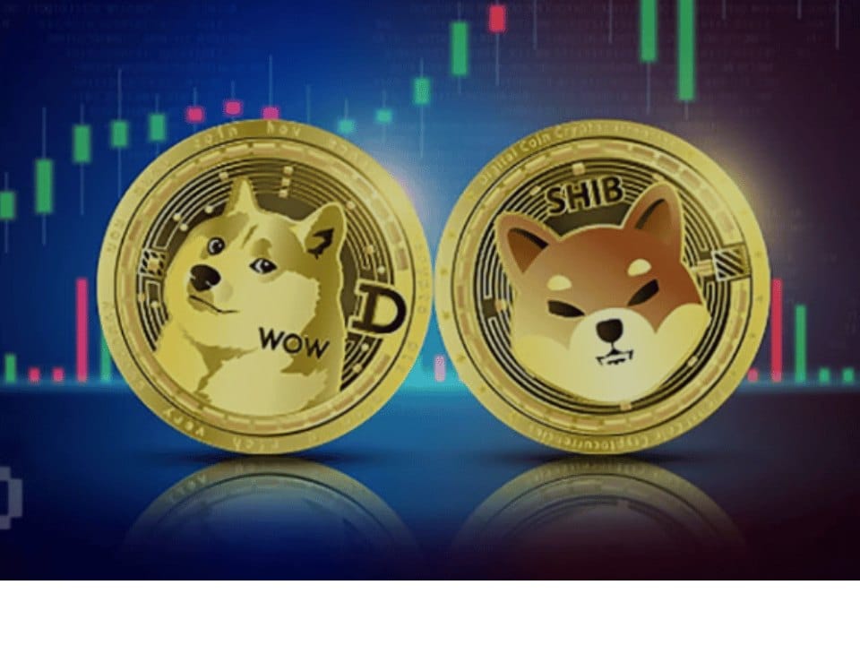 عملة الميم الرقمية