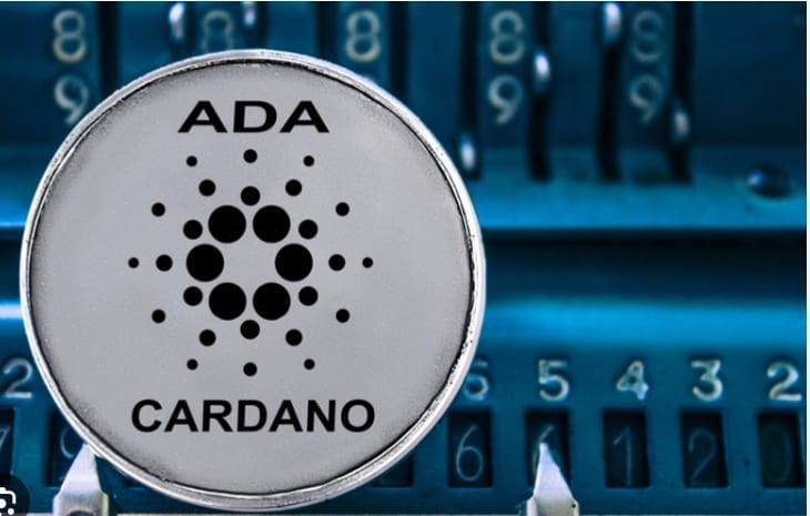 كاردانو تُحلق عالياً
