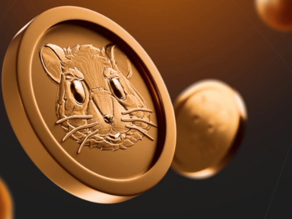 ما هي عملة HAMSTER؟