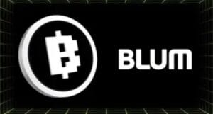 عملة Blum
