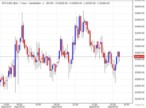 سعر البيتكوين