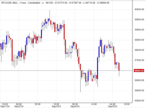 سعر البيتكوين
