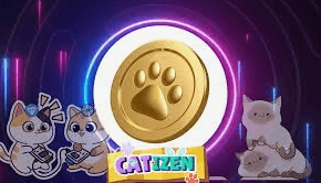 عملة كاتيزن