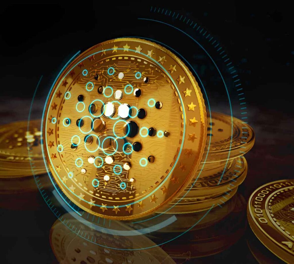 سعر كاردانو