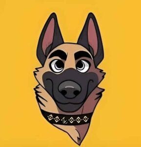 عملة ميم Broccoli