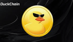 عملة DuckChain