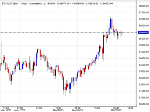 سعر البيتكوين