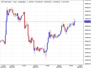 يشهد البيتكوين تقلبات ملحوظة