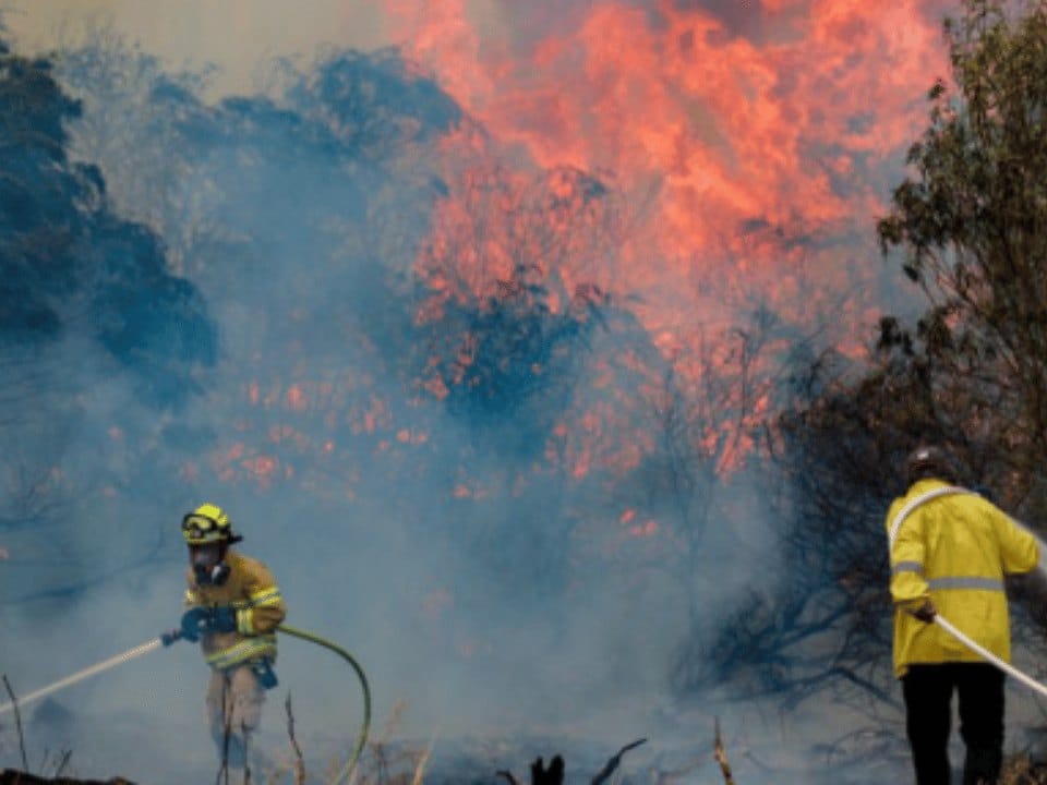 حريق واسع النطاق في مناطق غابات محيطة بالقدس
