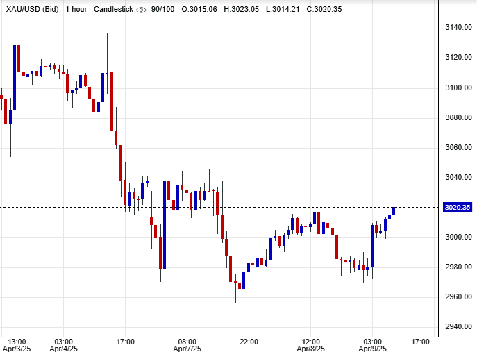 أسعار الذهب