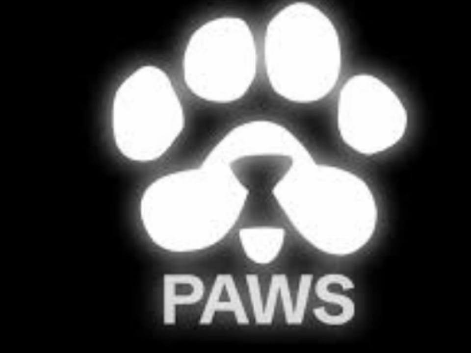 عملة PAWS