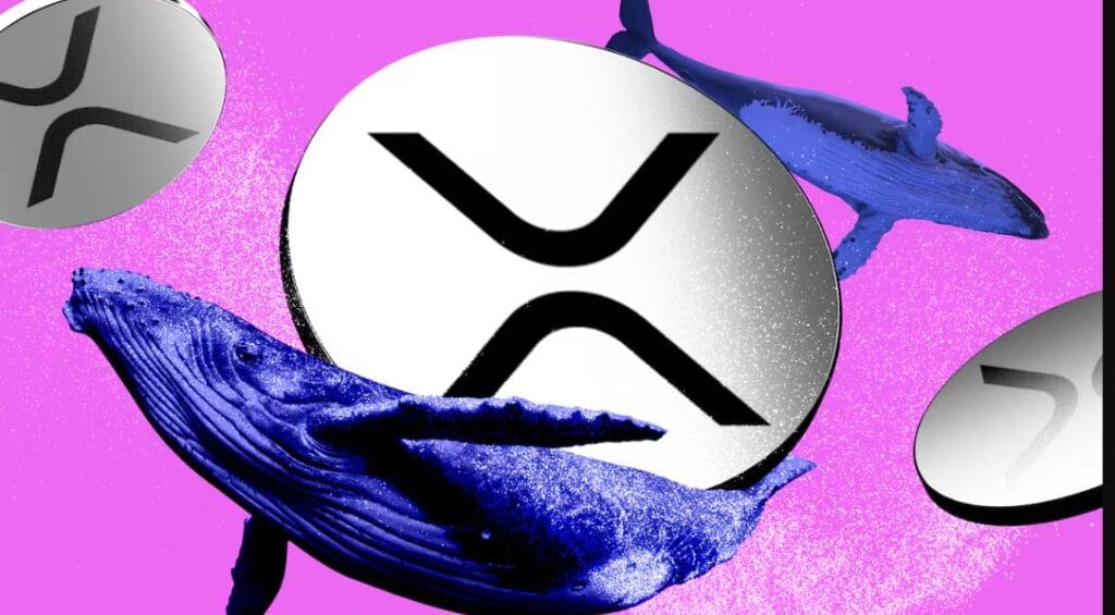 توقعات سعر XRP لعام 2026