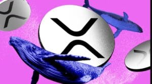 توقعات سعر XRP لعام 2026