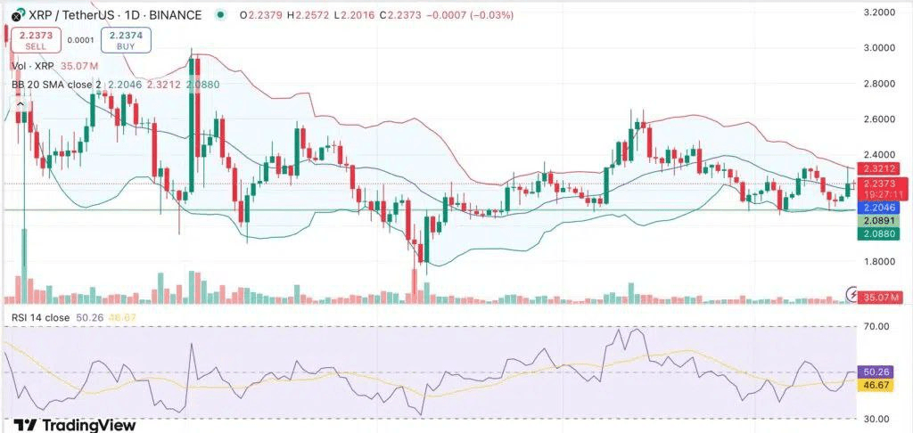 شبكة xrp