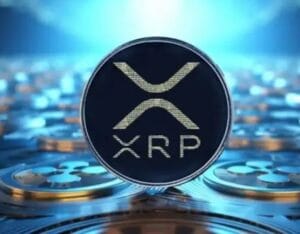 شبكة xrp